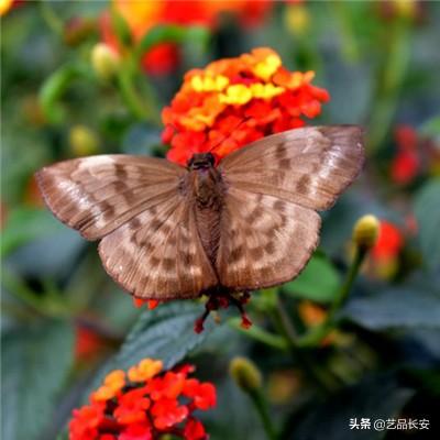 我的编程世界游戏下载