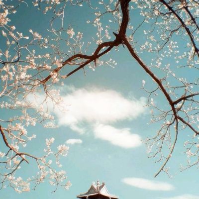 汉风西游ol无限金砖版下载